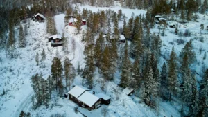 Scenic mountain trail surrounded by pine forest near Brian Head, Utah cabin rentals