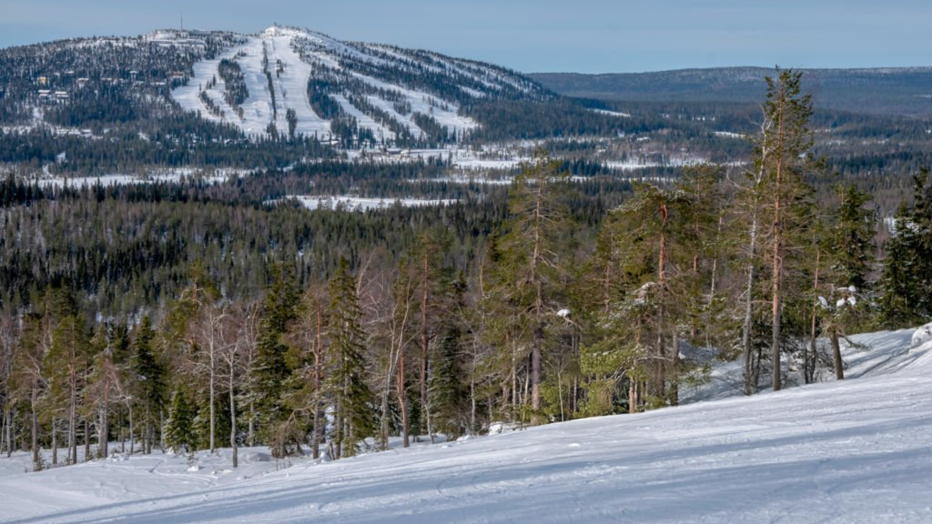 Snowy mountain slopes and pine forest landscape in Brian Head Utah during winter